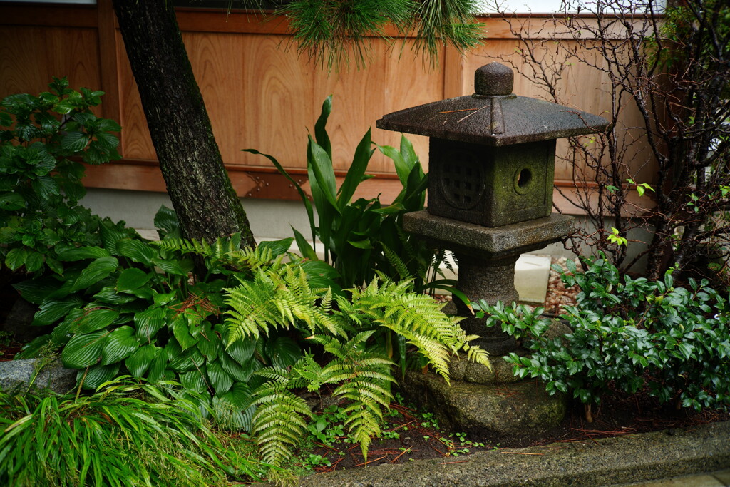 豪徳寺にて 2
