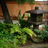 豪徳寺にて 2
