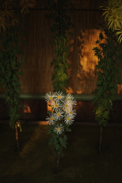 秋の新宿御苑にて 2025 5