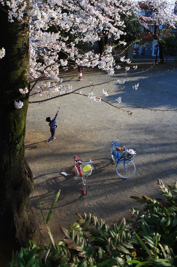 桜の下で待ち合わせ