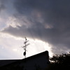 散歩スナップ 夕刻 2