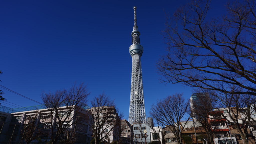 東京スカイツリー周辺にて 1