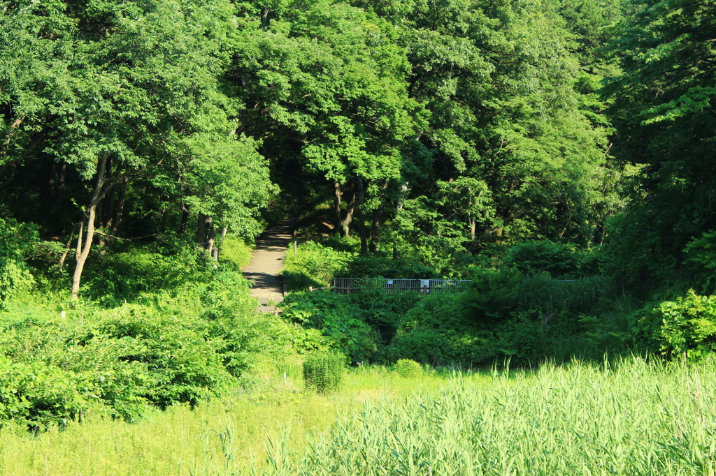 寺家ふるさと村にて 2