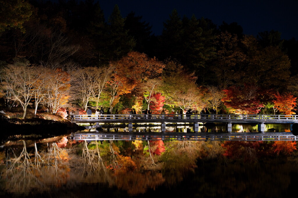 昭和記念公園 秋の夜散歩2024 3