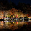 昭和記念公園 秋の夜散歩2024 3