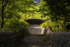 奈良山公園にて 2