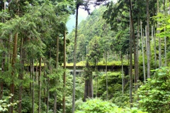 廃線鉄道路　1