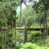 廃線鉄道路　1