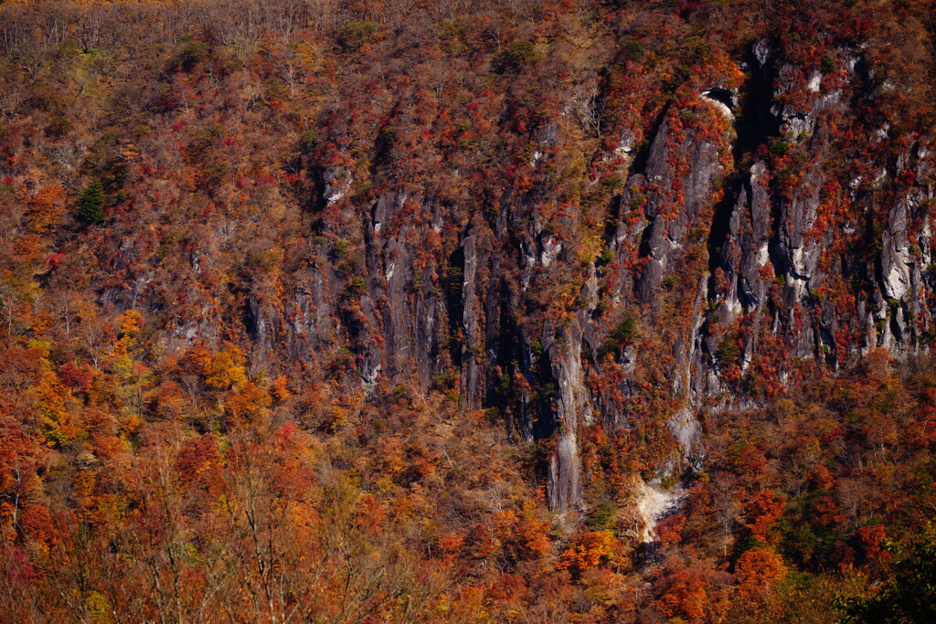 日光 明智平にて 2