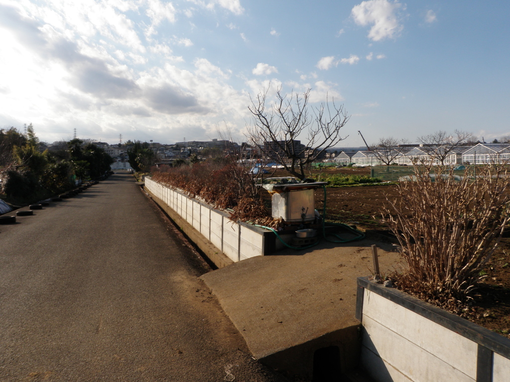 とある田園地帯にて