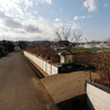 とある田園地帯にて