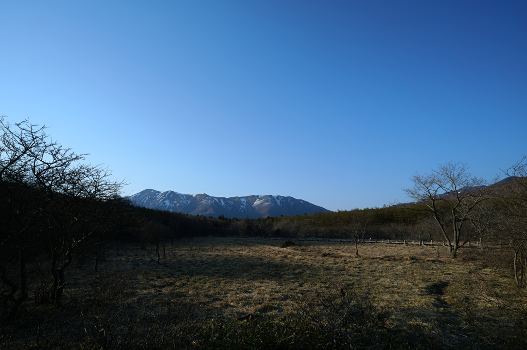 沼っ原湿原にて