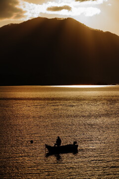 秋の河口湖にて 2025 2