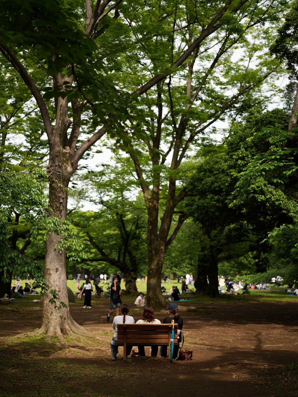 GWの代々木公園 1