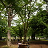 GWの代々木公園 1