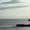 海岸にて