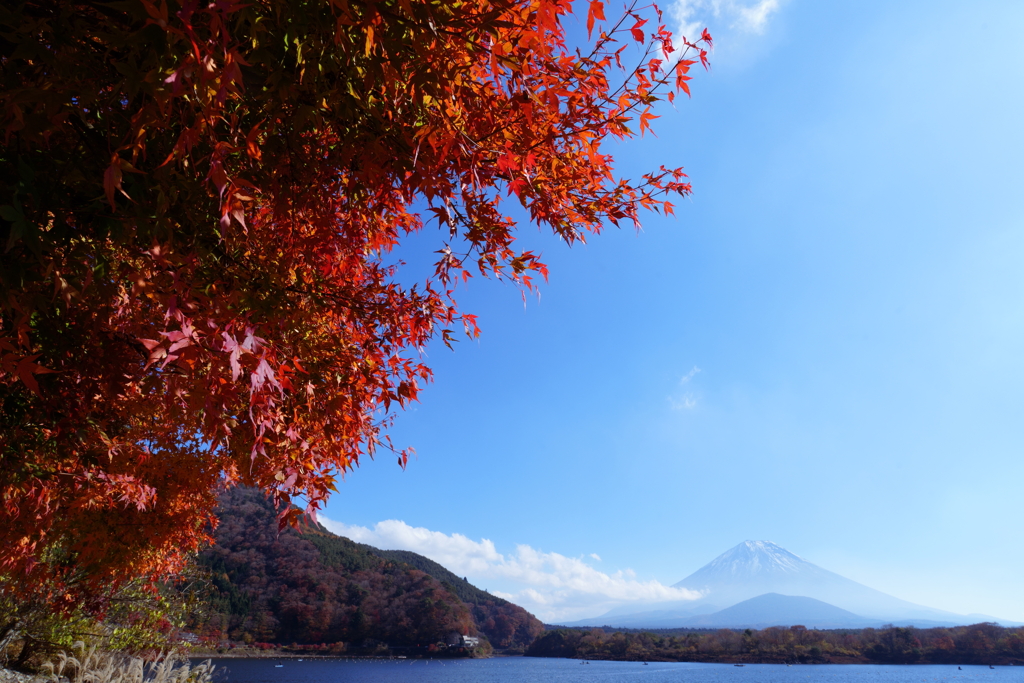 秋の精進湖にて 2025 2