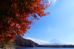 秋の精進湖にて 2025 2