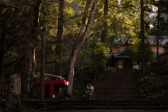 大雄山最乗寺にて 2