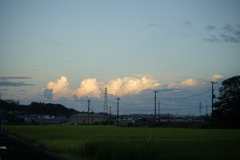 田んぼと積乱雲