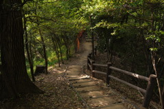 奈良山公園にて 1