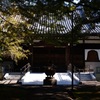 調布ヶ丘　大正寺にて　1
