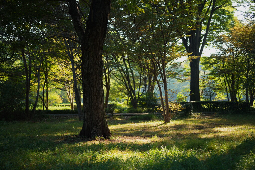 北の丸公園にて 2025 4