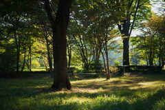 北の丸公園にて 2025 4