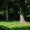 北の丸公園にて 2025 1