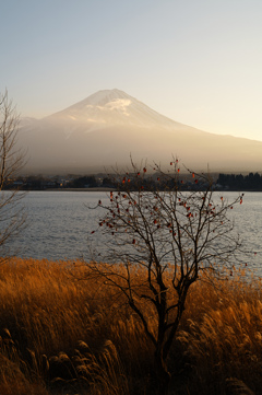 河口湖にて 2