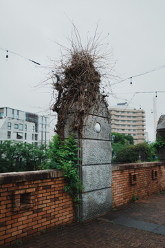中目黒 スナップ 1