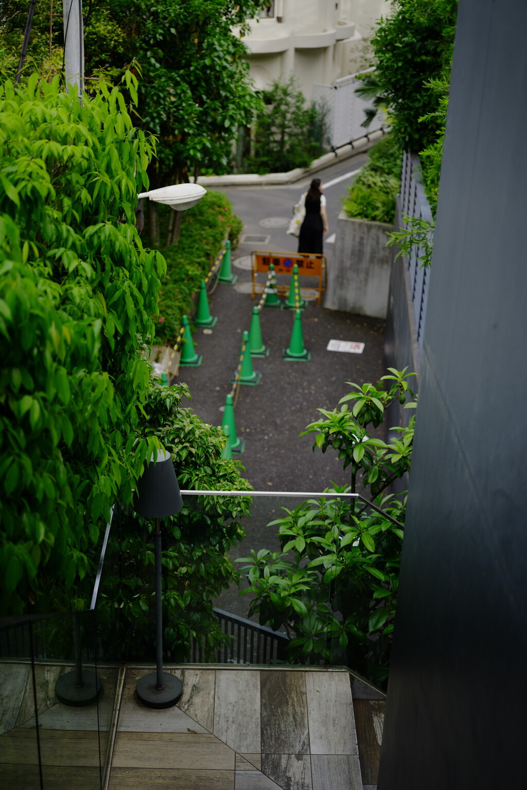 原宿 スナップ 2