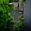 原宿 スナップ 2