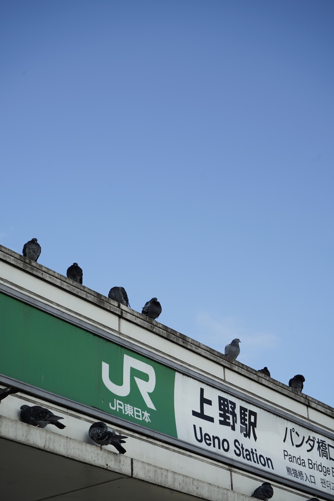 上野駅近くにて