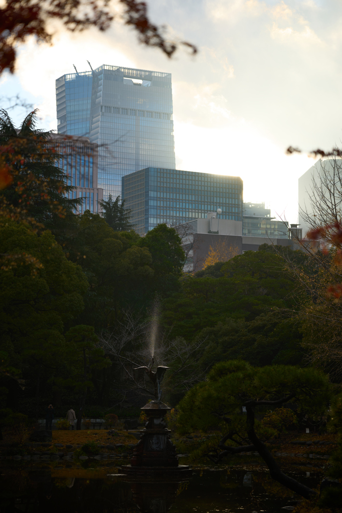 晩秋の日比谷公園にて 1