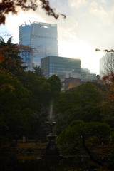 晩秋の日比谷公園にて 1