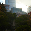 晩秋の日比谷公園にて 1