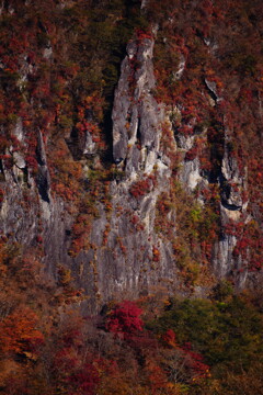 日光 明智平にて 1