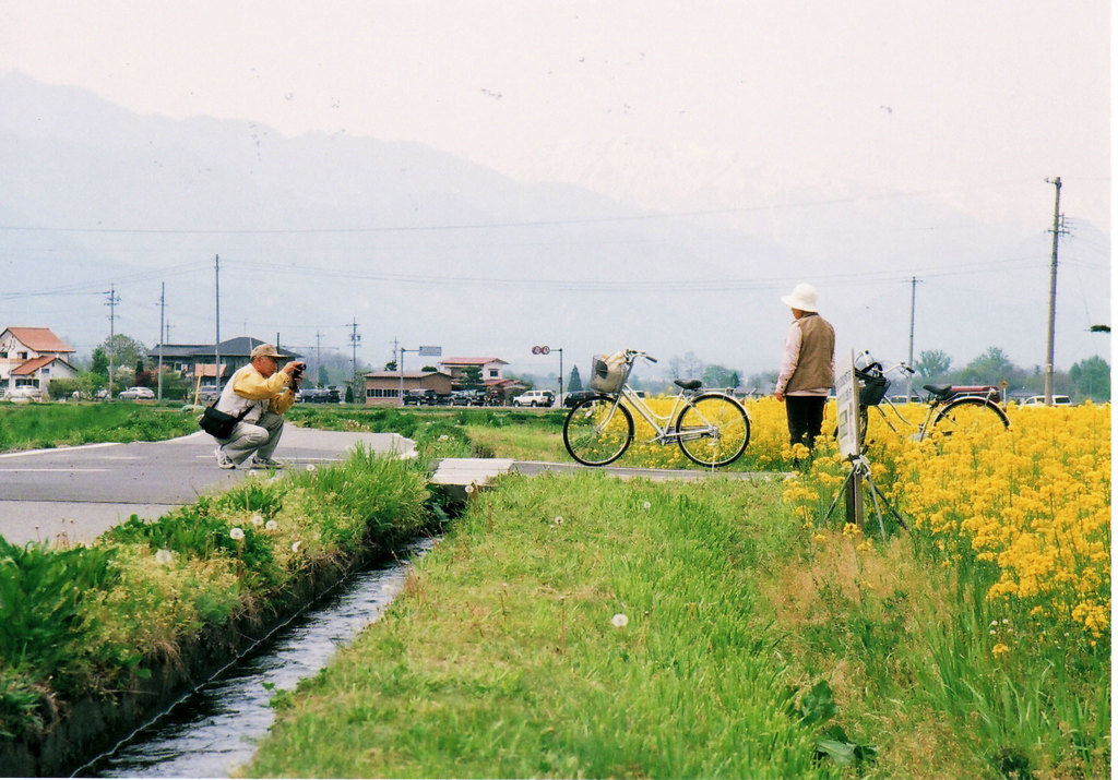 夫婦