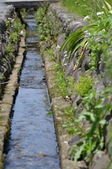 穏やかに