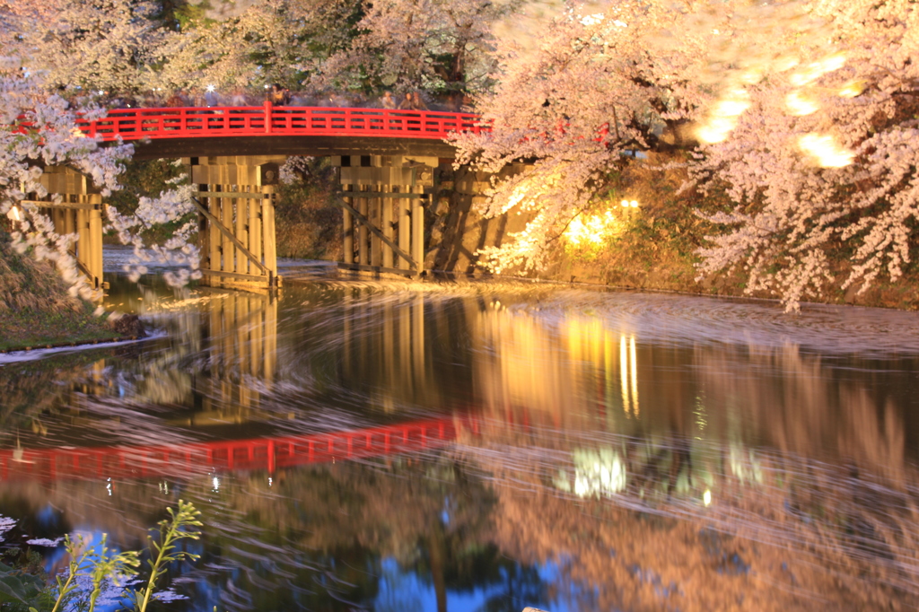 桜と流水