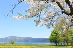 十和田湖湖畔