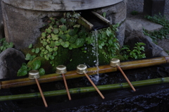 IMGP2842