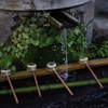 IMGP2842