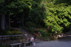 IMGP2850