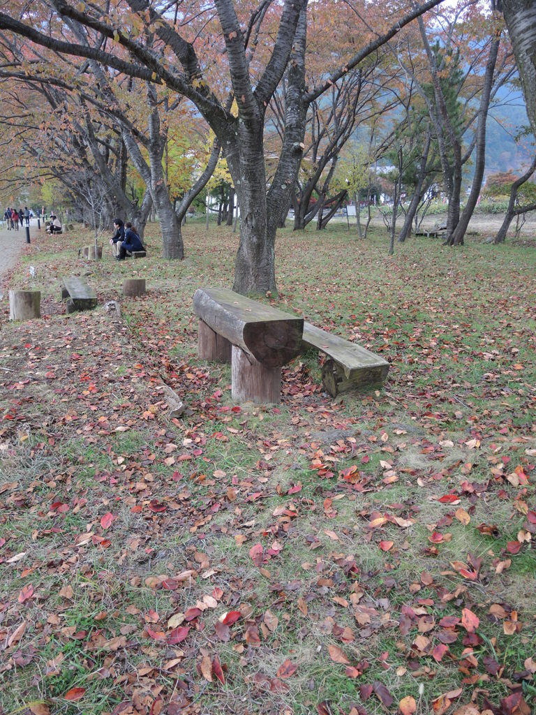 DSCN0386