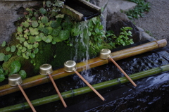 IMGP2840