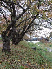 DSCN0350