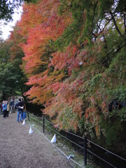 DSCN0408