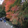 DSCN0408